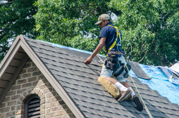 Best Residential Roofing Contractor  in Trainer, PA
