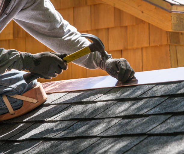 Best Roof Gutter Cleaning  in Trainer, PA